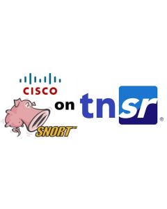 Snort for TNSR